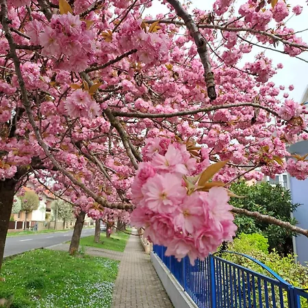 公寓 Laguna Apartmanhaz Hévíz
