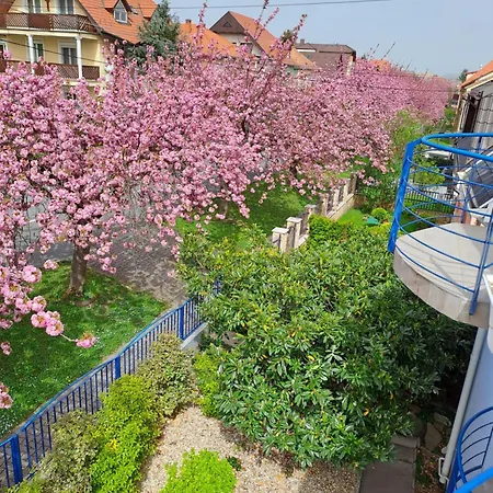 Laguna Apartmanhaz Lägenhet Hévíz