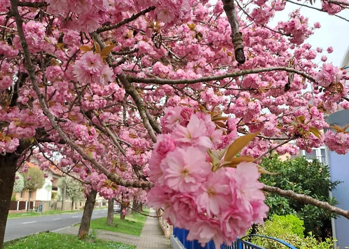 公寓 Laguna Apartmanhaz Hévíz